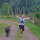 Jennie and noodles running.thumb